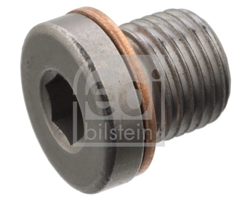 Screw Plug, axle drive
